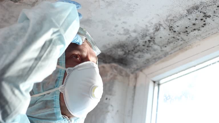 Why You Should Choose Our Mold Remediation Services in Tulare, CA